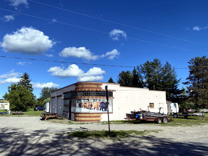 Spruce  - June 17 2022 Photo (newer photo)